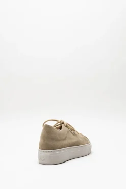 Agl - Beige Sneaker