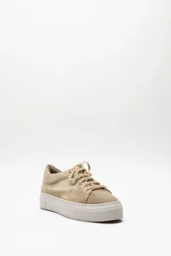 Agl - Beige Sneaker