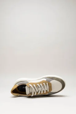 Ambitious - Beige Sneaker