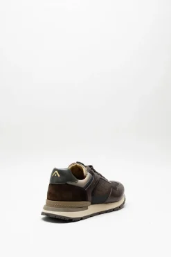 Ambitious - Bruin Sneaker