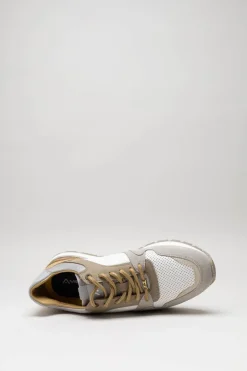 Ambitious - Taupe Sneaker