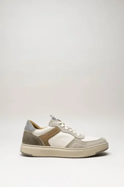 Ambitious - Taupe Sneaker