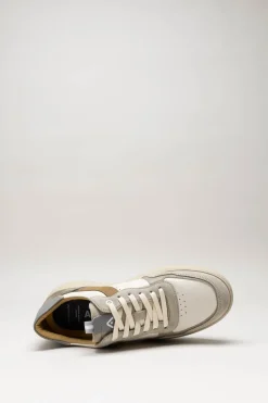Ambitious - Taupe Sneaker