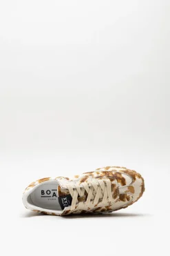 Boax Studio - Ecru Sneaker