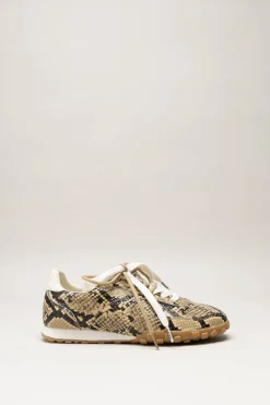 Boax Studio - Greige Sneaker