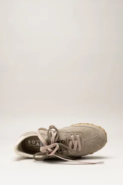 Boax Studio - Taupe Sneaker