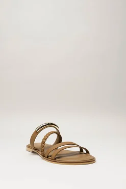 Corridoni - Bruin Slipper