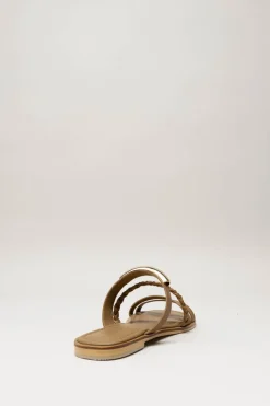 Corridoni - Bruin Slipper