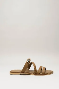 Corridoni - Bruin Slipper