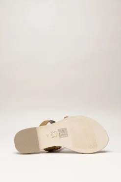 Corridoni - Bruin Slipper