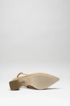 Ctwlk - Camel Pump