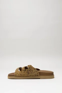 Ctwlk - Camel Slipper