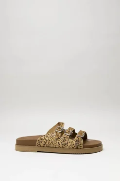 Ctwlk - Camel Slipper