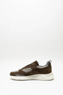 Cycleur De Luxe - Bruin Sneaker