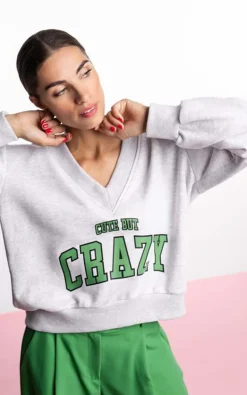 Dame Blanche - Grijs Sweater