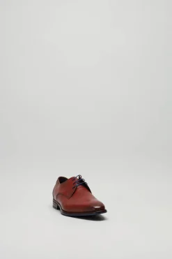 Floris Van Bommel - Cognac Veterschoen