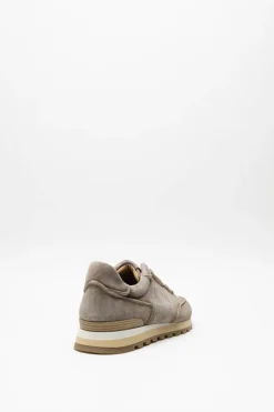 Giorgio - Taupe Sneaker