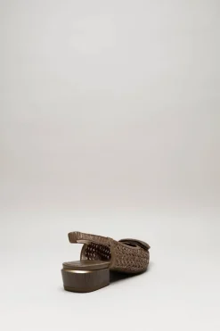 Hispanitas - Donkerbruin Ballerina