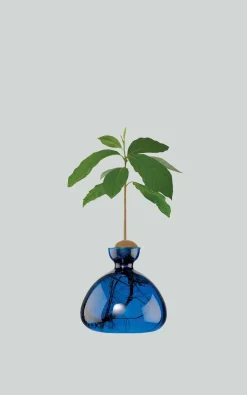 Ilex Studio - Blauw Woonaccessoires