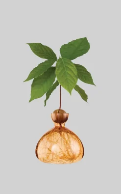 Ilex Studio - Oranje Woonaccessoires