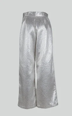 Katerin Theys - Zilver Broek