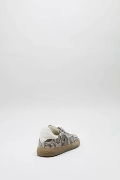 Kennel & Schmenger - Greige Sneaker