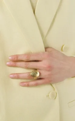 Laurence Delvallez - Geel Ring