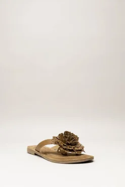 Lazamani - Bruin Slipper