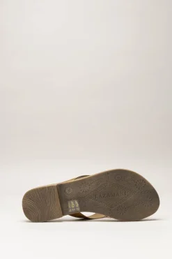 Lazamani - Bruin Slipper