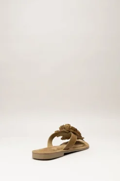 Lazamani - Bruin Slipper