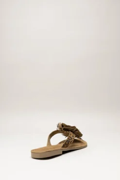Lazamani - Bruin Slipper