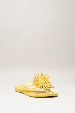 Lazamani - Geel Slipper