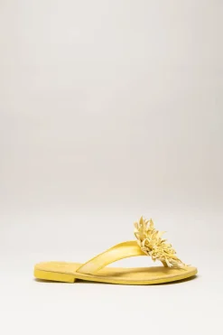 Lazamani - Geel Slipper