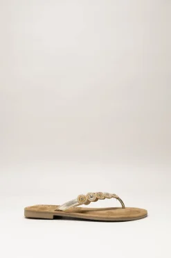 Lazamani - Goud Slipper