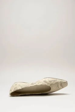 Odare - Greige Ballerina