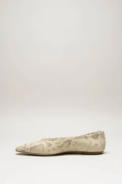 Odare - Greige Ballerina