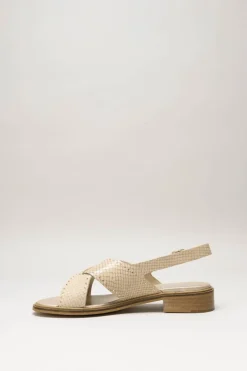Pertini - Beige Sandaal hak