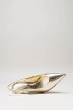 Rotta - Goud Pump