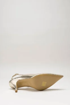 Rotta - Goud Pump