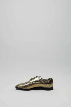 Sam Reychler - Goud Veterschoen