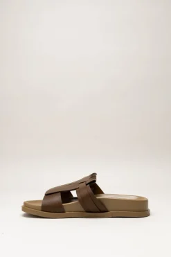 Scapa - Bruin Slipper