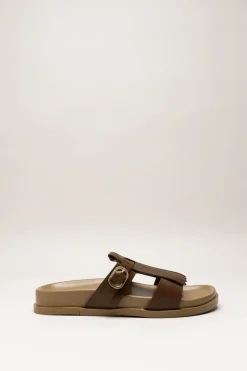 Scapa - Bruin Slipper
