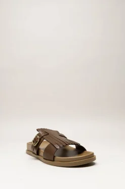 Scapa - Bruin Slipper