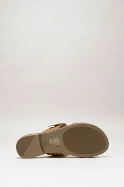 Scapa - Bruin Slipper