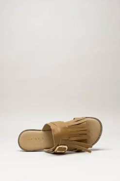 Scapa - Bruin Slipper