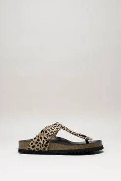 Scholl - Beige Slipper