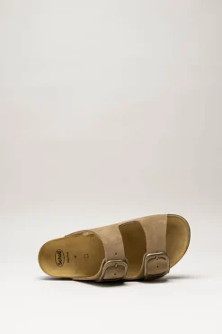 Scholl - Bruin Slipper
