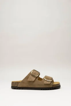 Scholl - Bruin Slipper