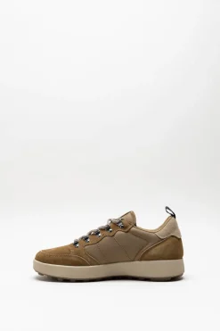 Sun68 - Bruin Sneaker