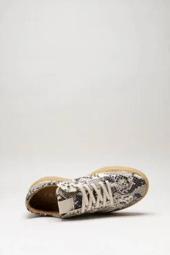Tango - Greige Sneaker